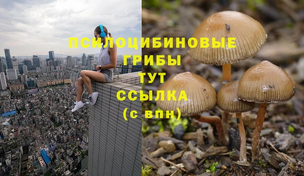 герыч Новокубанск