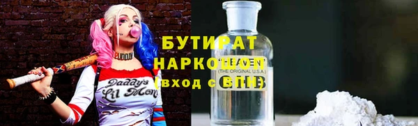 сатива Новодвинск