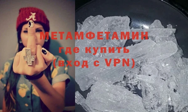 сатива Новодвинск