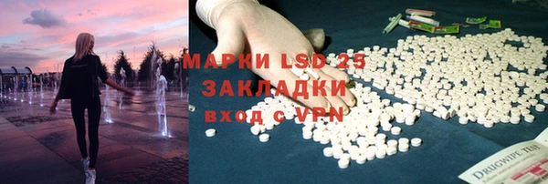 сатива Новодвинск