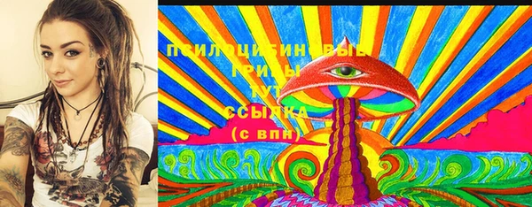 ECSTASY Абаза